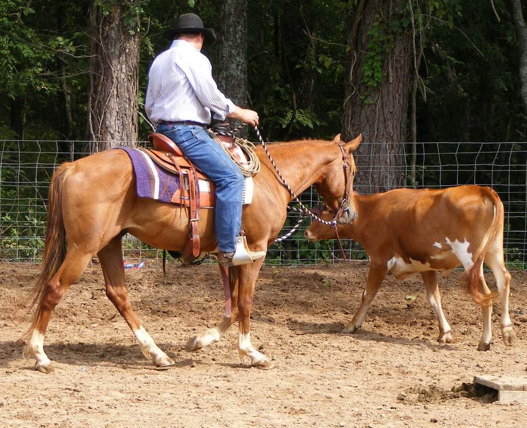 Dakota at Freedom Ranch
