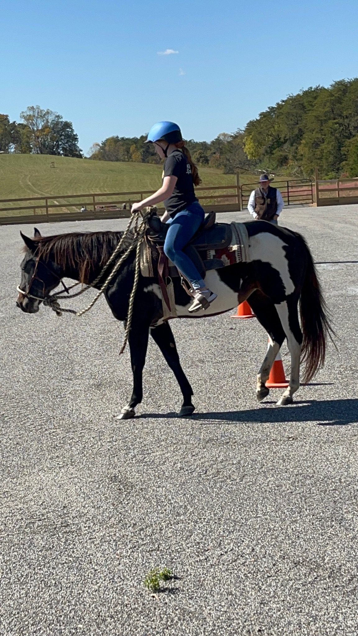 Drifter, a retired clinic horse at Freedom Ranch