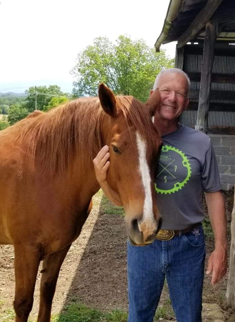 Stryker, a rescued Mustang at Freedom Ranch