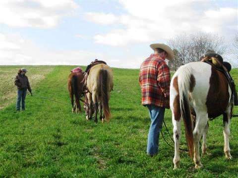 Young people walking horses across a field